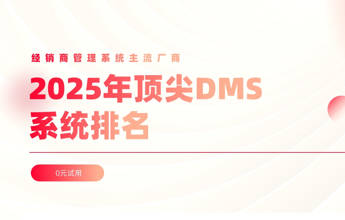 2025年顶尖 DMS系统排名
